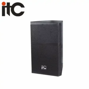 12" Professional Two Way Loud
