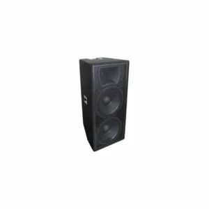 Haut-parleur d'enceinte 15"