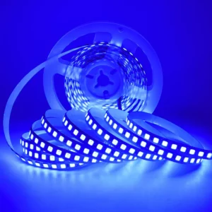 Guirlande lumineuse 60led/m L:1m